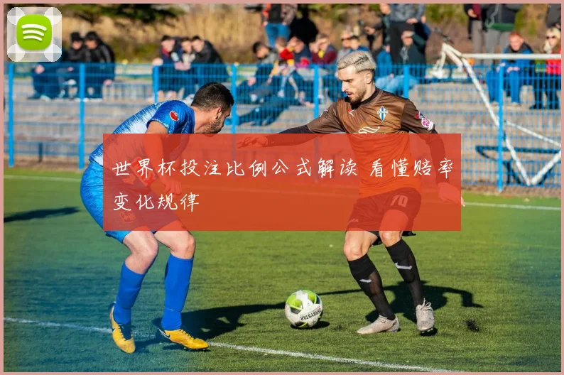 世界杯投注比例公式解读 看懂赔率变化规律